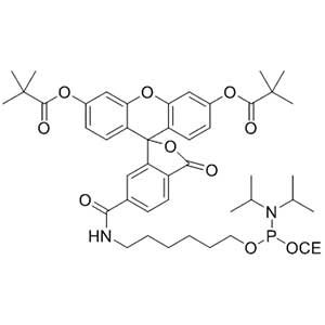 6-FAM phosphoramidite