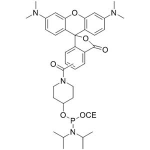 5-Tamra CED Phosphoramidite