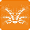 Mycotoxin IAC
