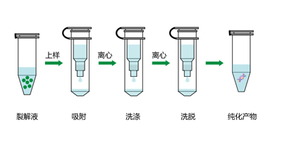 核酸提取