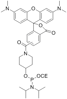 structure_CLP-9066 5-Tamra CED Phosphoramidite