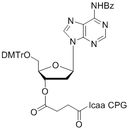 deoxy Adenosine (n-bz) 3'-lcaa CPG 2000Å