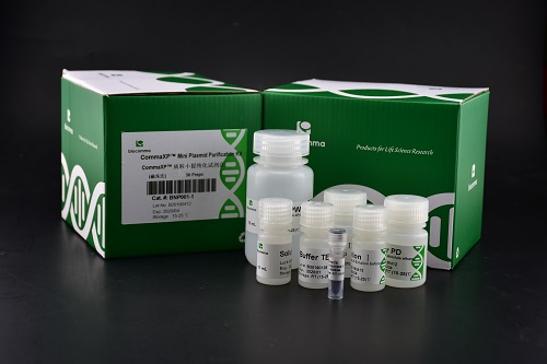 质粒小提试剂盒 CommaXP®口腔拭子基因组DNA提取试剂盒(磁珠法)