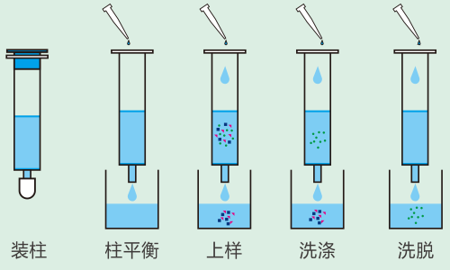 亲和层析空柱