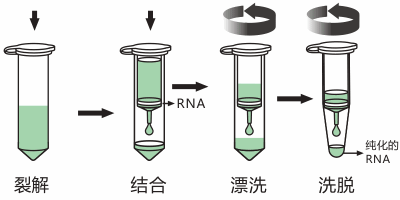 RNA提取柱