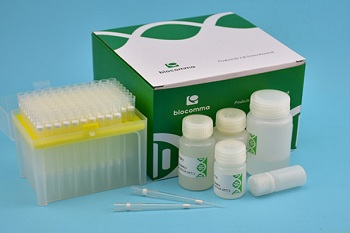 吸头法试剂盒 血液基因组DNA 提取试剂盒(TIP 法)