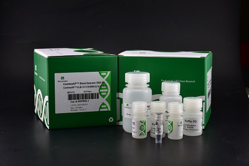 血液基因DNA 试剂盒 血液基因组DNA提取试剂盒(磁珠法)