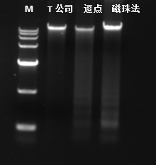 磁珠法试剂盒