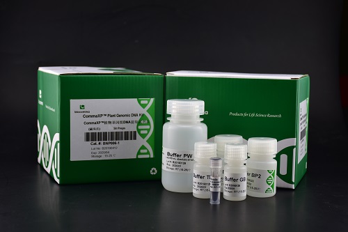 植物基因组DNA试剂盒 植物基因组DNA提取试剂盒(磁珠法)