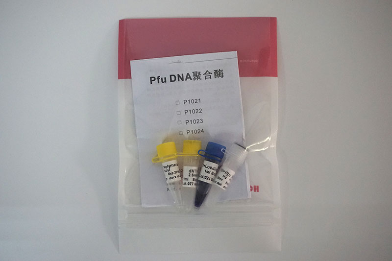 PFU-2 Pfu DNA聚合酶
