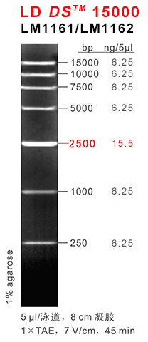 DS15000 (LM1161-LM1162) DS15000 (LM1161-LM1162)