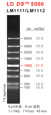 DS5000 (LM1111-LM1112) DS5000 (LM1111-LM1112)