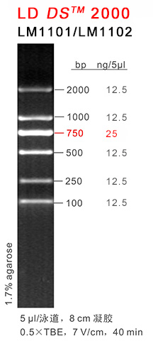DS2000 (LM1101-LM1102) DS2000 (LM1101-LM1102)