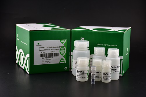 动物组织基因组 DNA 提取试剂盒 CommaXP® 动物组织基因组 DNA 提取试剂盒(磁珠法)