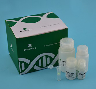 RNA试剂盒 CommaXP Ⓡ 干血斑基因组 DNA 提取试剂盒(离心柱型)