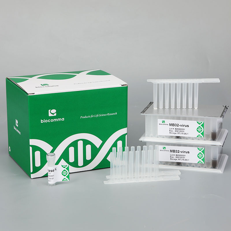 血液基因组 DNA 提取试剂盒（预分装磁珠法） 