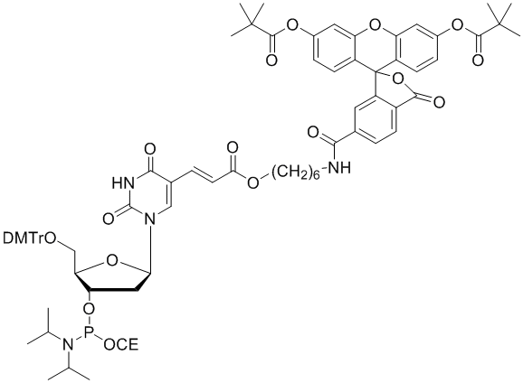 f_77c16982c31caee8dc17b5fe87c08275 Fluorescein dT CED phosphoramidite
