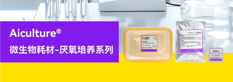 厌氧培养系列