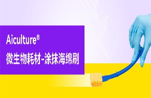 涂抹海绵刷