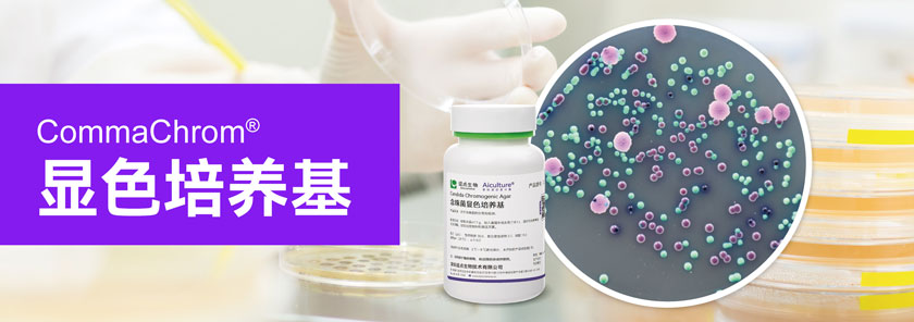 CommaChrom® 显色培养基
