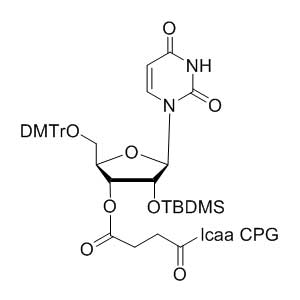 2'-tBDSilyl Uridine 3'-lcaa CPG 2000Å