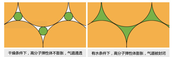 滤芯