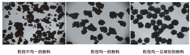 滤芯