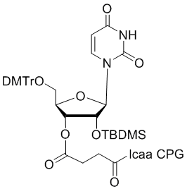 structure_N-6104-20 2'-tBDSilyl Uridine 3'-lcaa CPG 2000Å